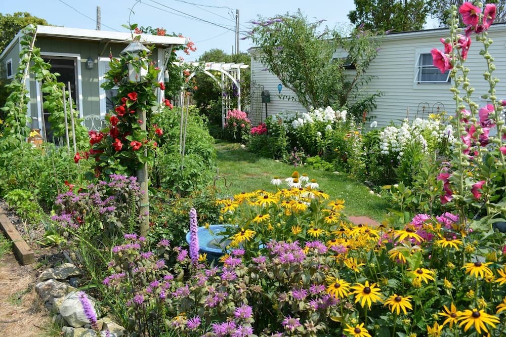 Photo of Others in Snug Harbor