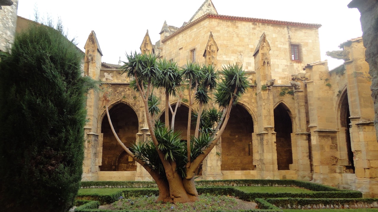 Photo of Outdoor in Narbonne