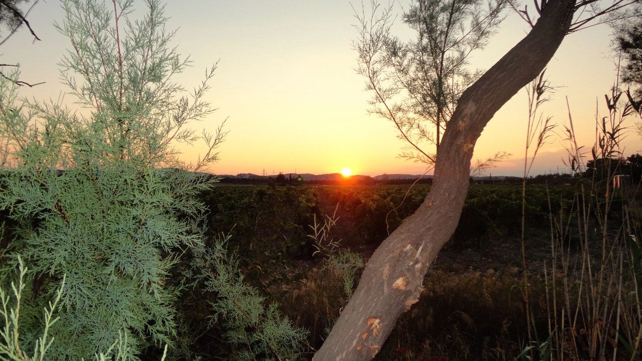 Photo of Outdoor in Narbonne