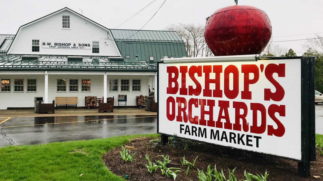 Photo of Outdoor in Guilford