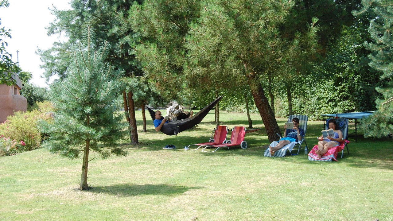 Photo of Outdoor in Savigne-sous-le-Lude