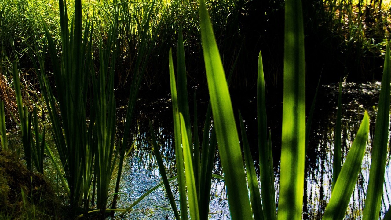 Photo of Outdoor in Savigne-sous-le-Lude