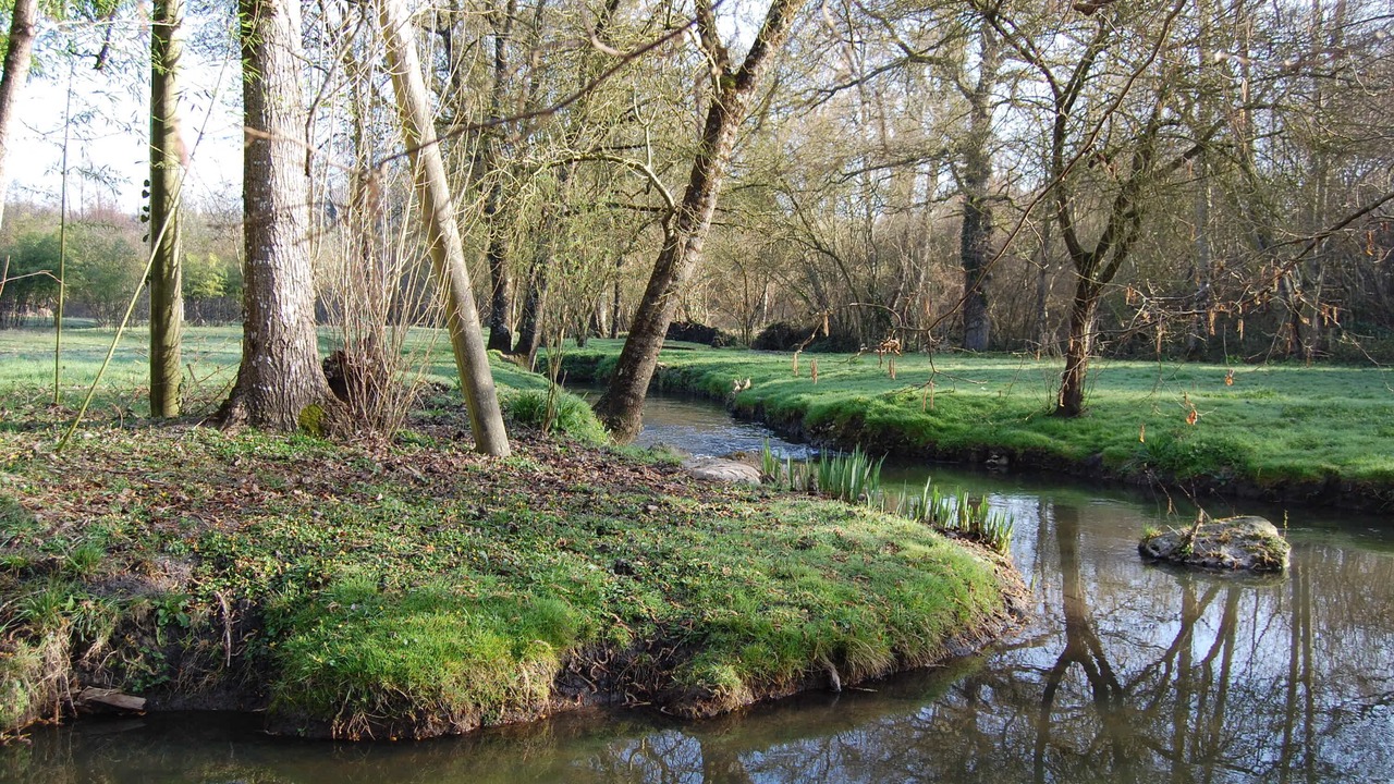 Photo of Outdoor in Savigne-sous-le-Lude