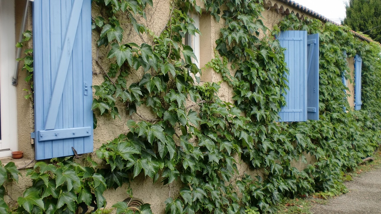 Photo of Outdoor in Saint-Victor-la-Coste