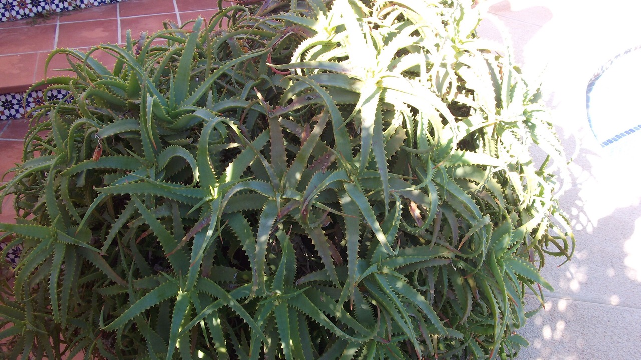 Photo of Outdoor in Balcon del Mar