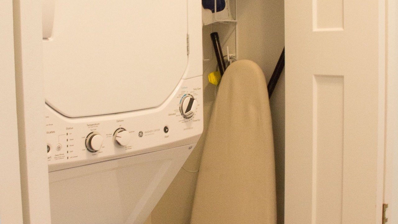 Photo of Others in Back Cove