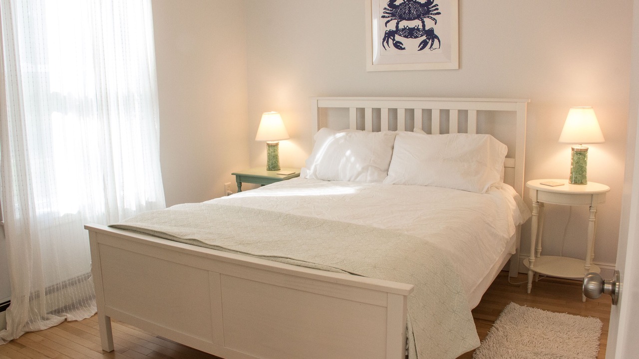 Photo of Others in Back Cove