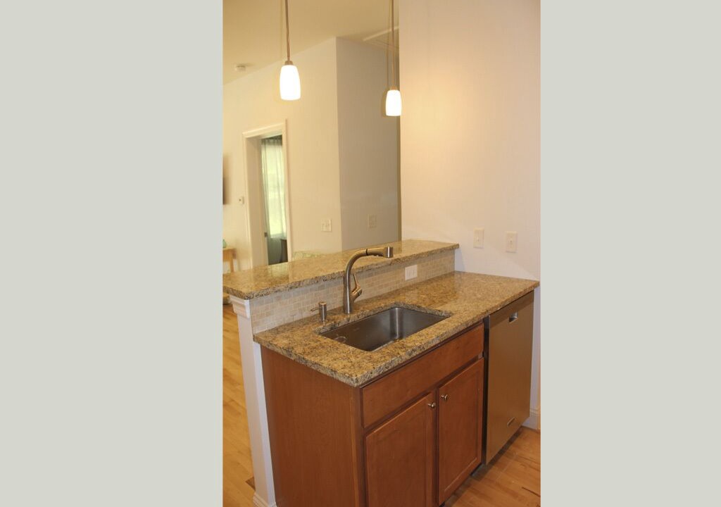 Photo of Others in Back Cove