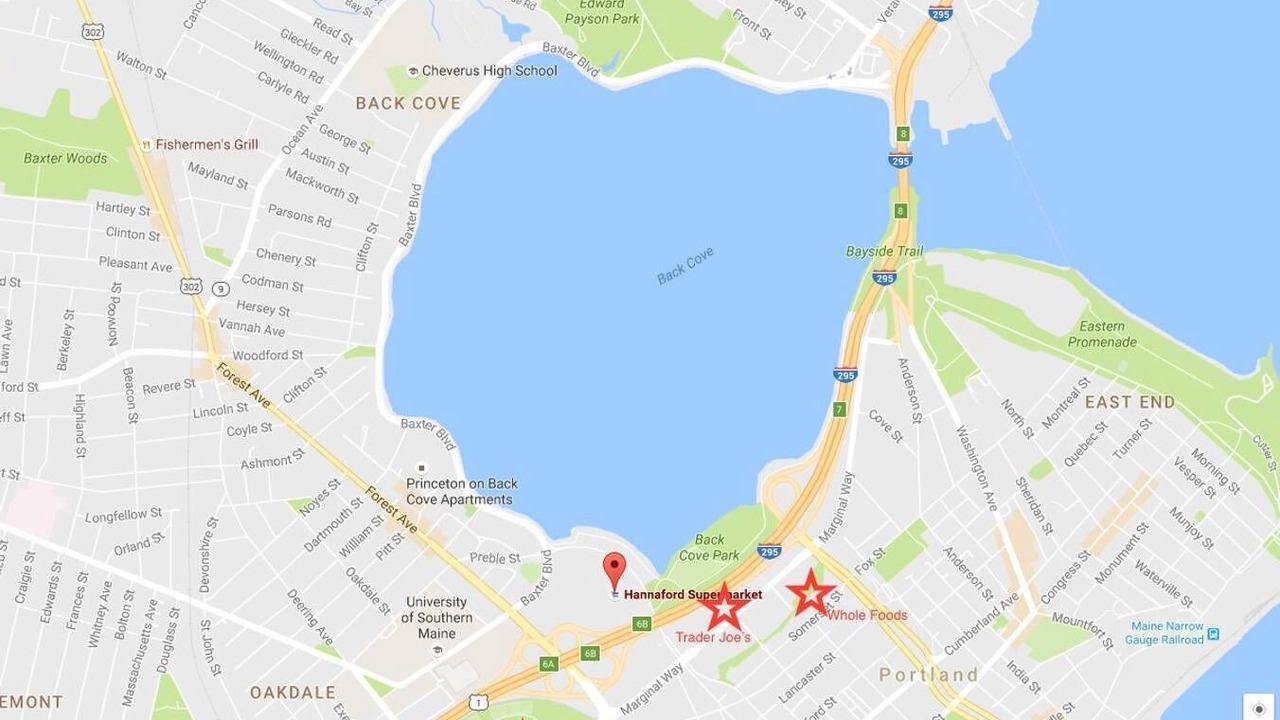 Photo of Others in Back Cove