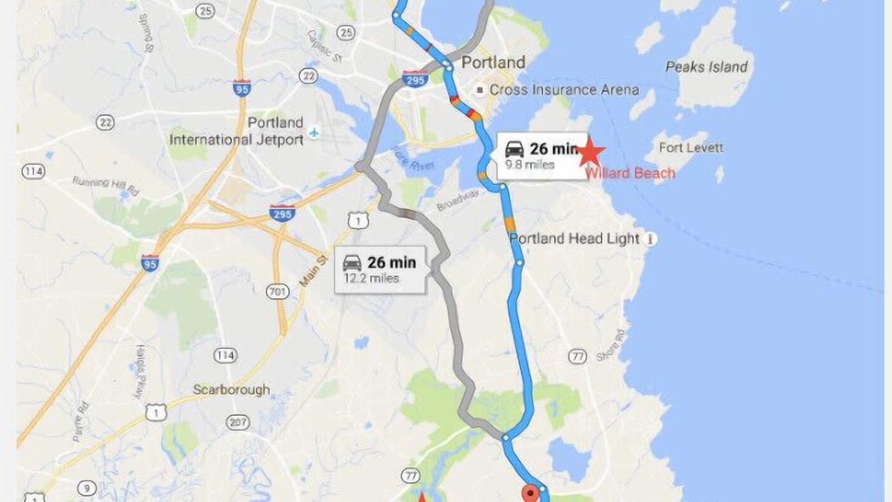 Photo of Others in Back Cove