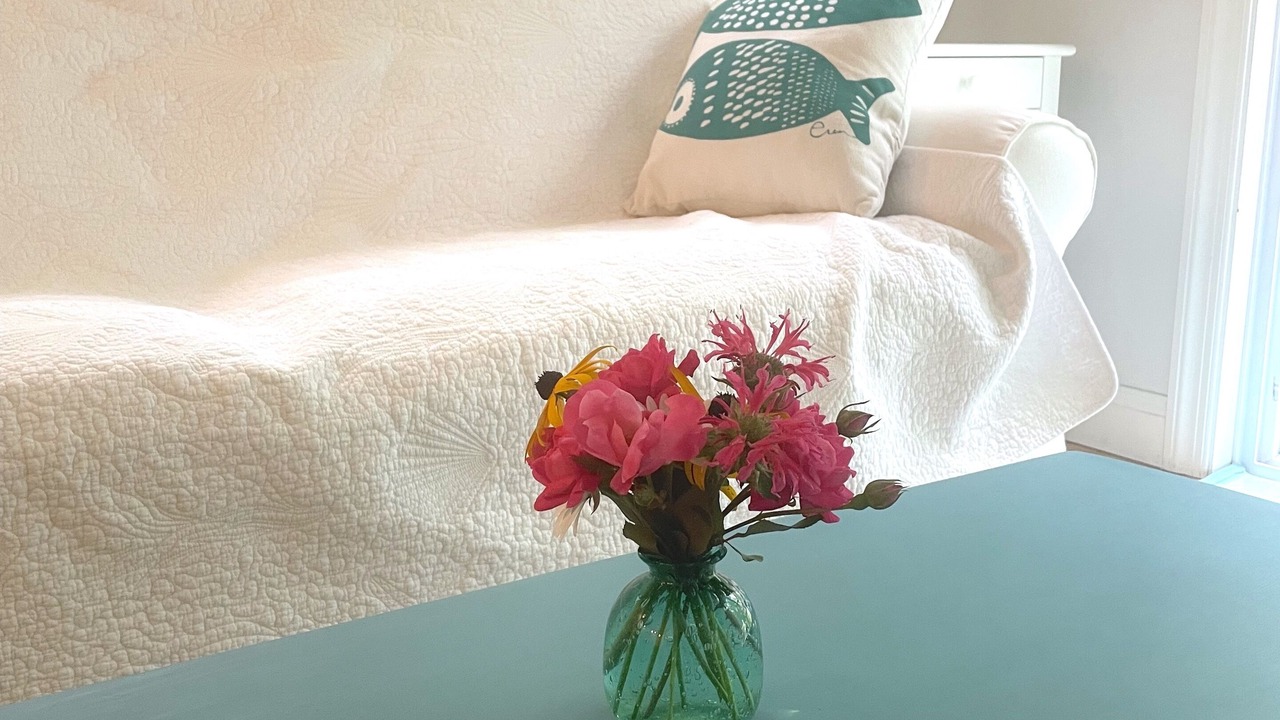 Photo of Others in Back Cove