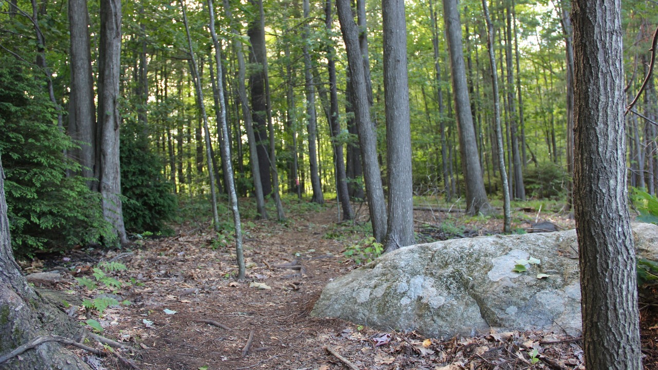 Photo of Outdoor in Back Cove