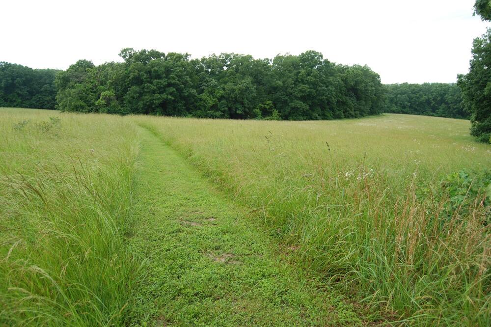 Photo of Outdoor in Mount Sterling