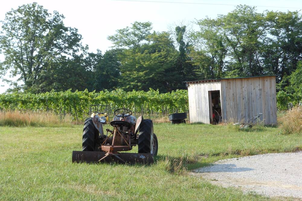 Photo of Outdoor in Mount Sterling