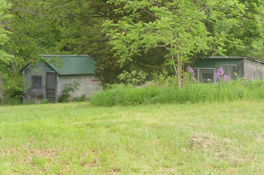 Photo of Others in Mount Sterling