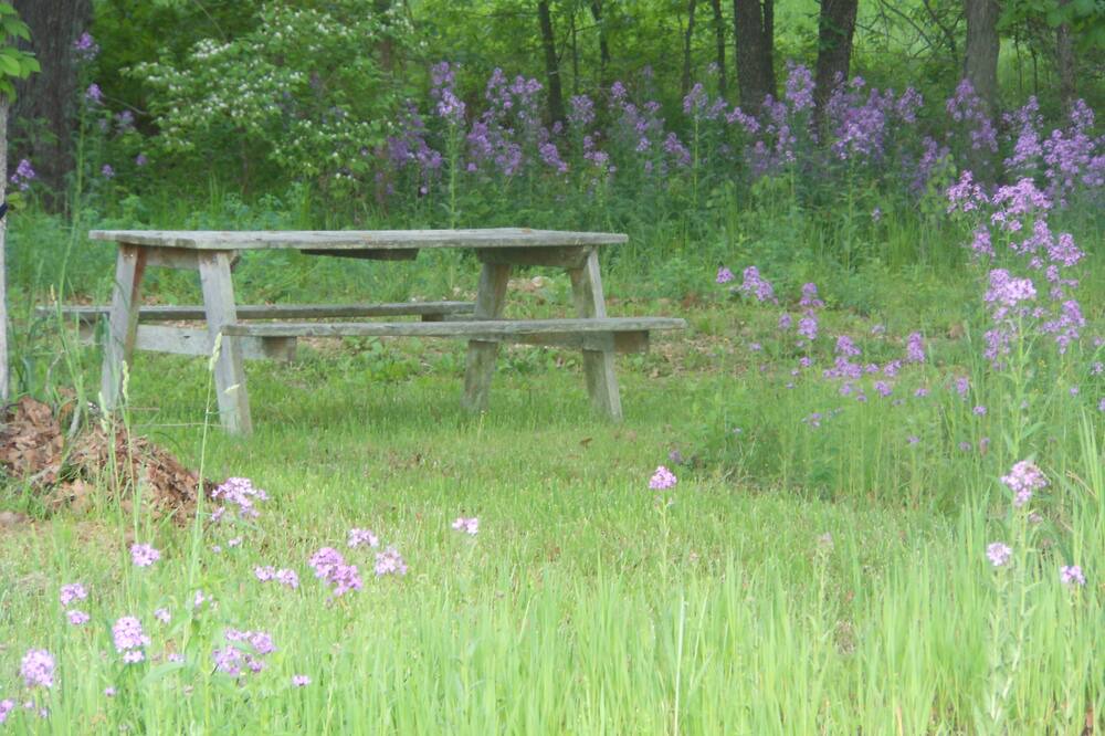 Photo of Outdoor in Mount Sterling