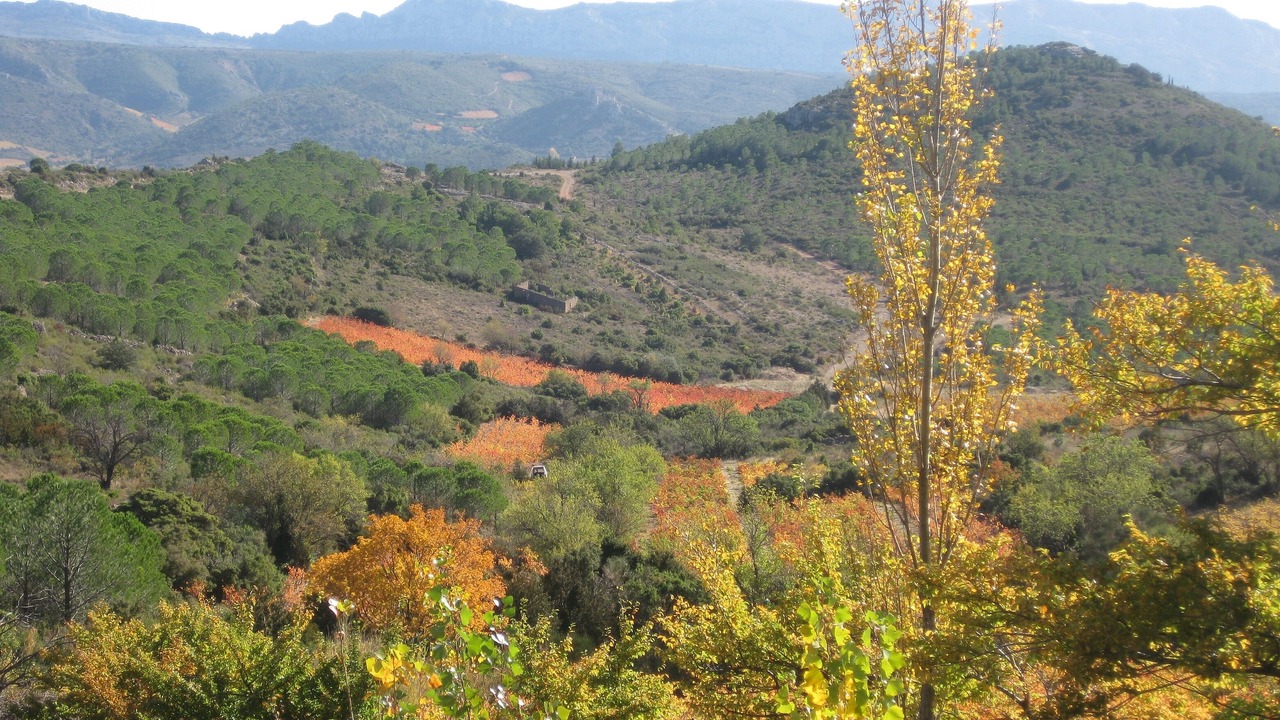 Photo of Outdoor in Palairac