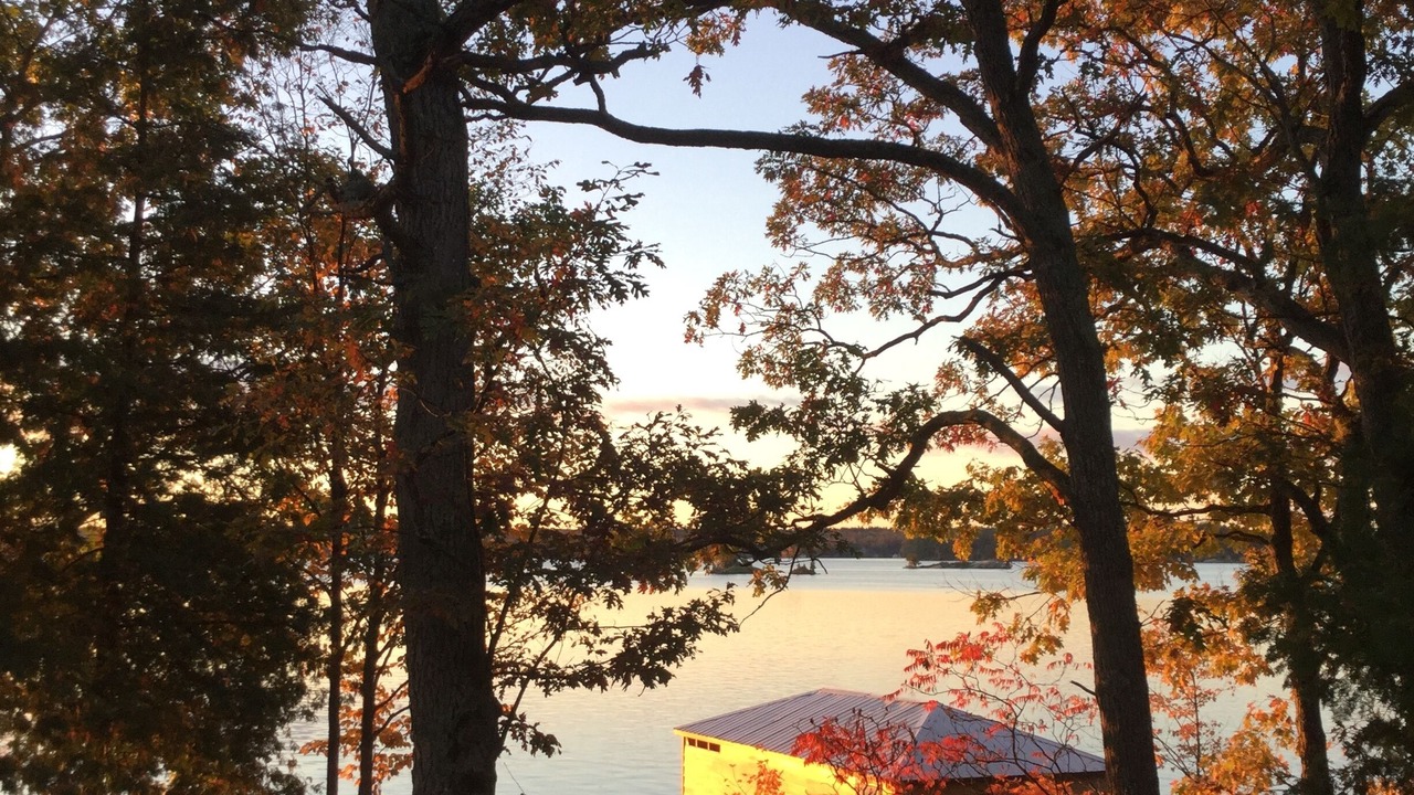 Photo of Outdoor in Woodview