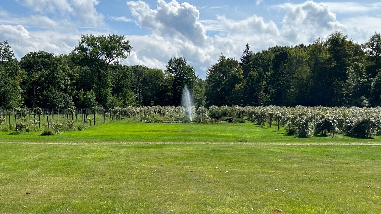 Photo of Others in Derby