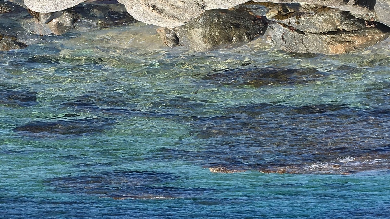 Photo of Others in Palau-del-Vidre