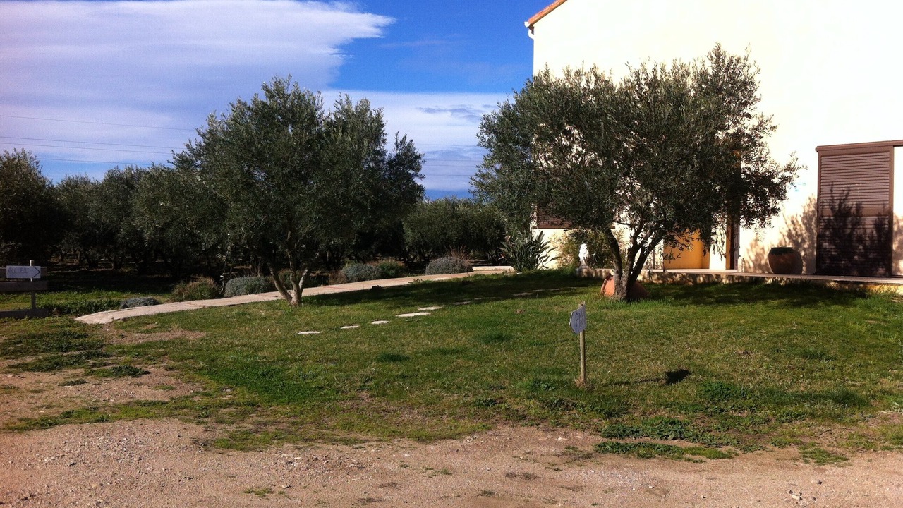 Photo of Outdoor in Palau-del-Vidre