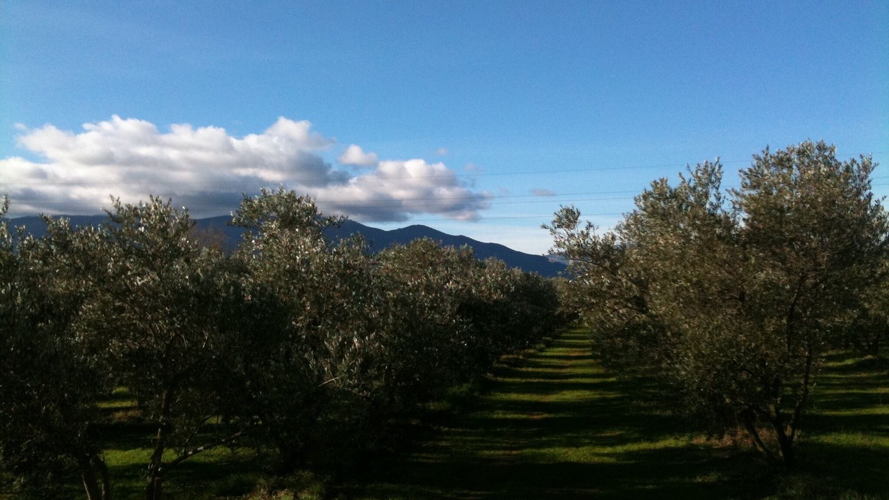 Photo of Outdoor in Palau-del-Vidre