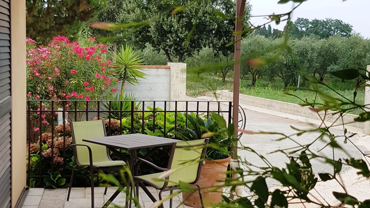 Photo of Outdoor in Palau-del-Vidre