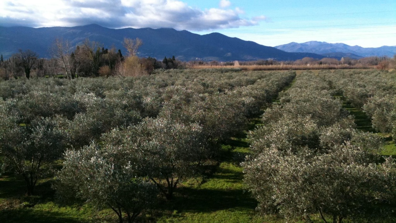 Photo of Outdoor in Palau-del-Vidre