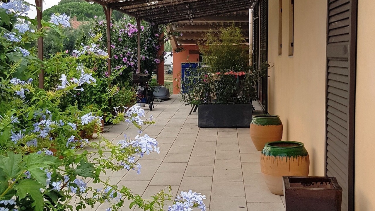 Photo of Outdoor in Palau-del-Vidre