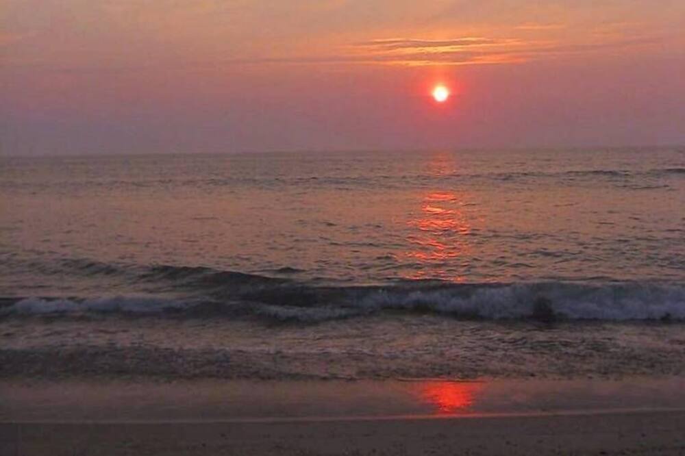 Photo of Others in South Wellfleet