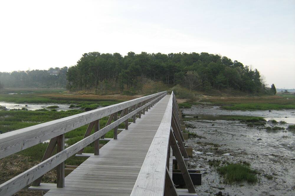 Photo of Others in South Wellfleet