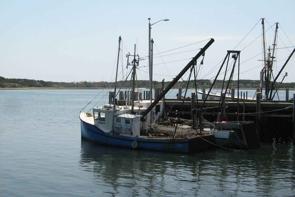 Photo of Others in South Wellfleet