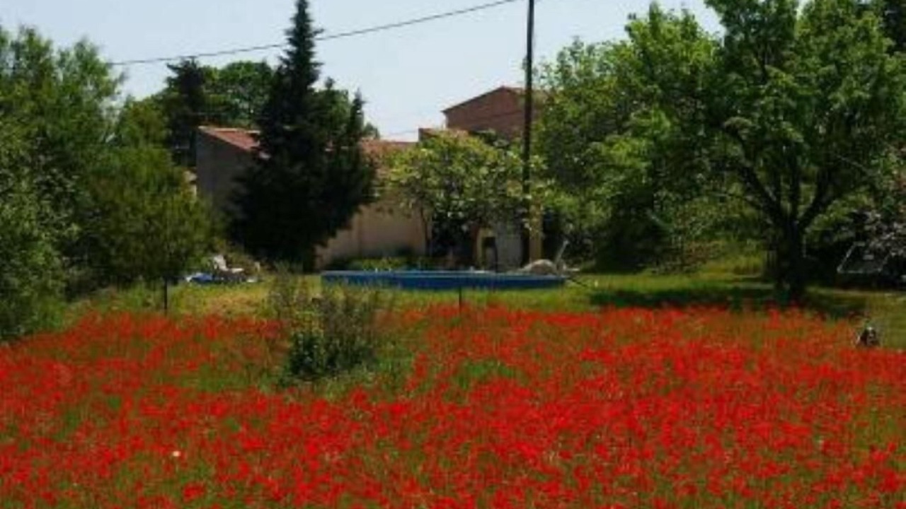 Photo of Outdoor in Ollioules