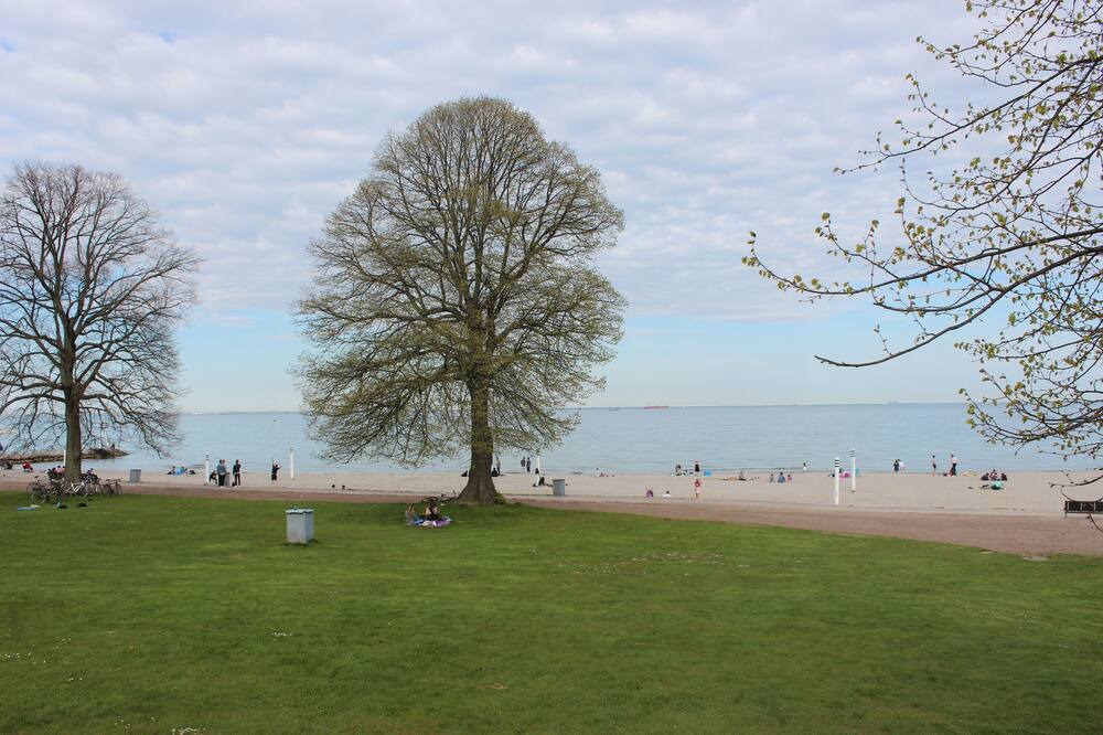 Photo of Outdoor in Kongens Lyngby