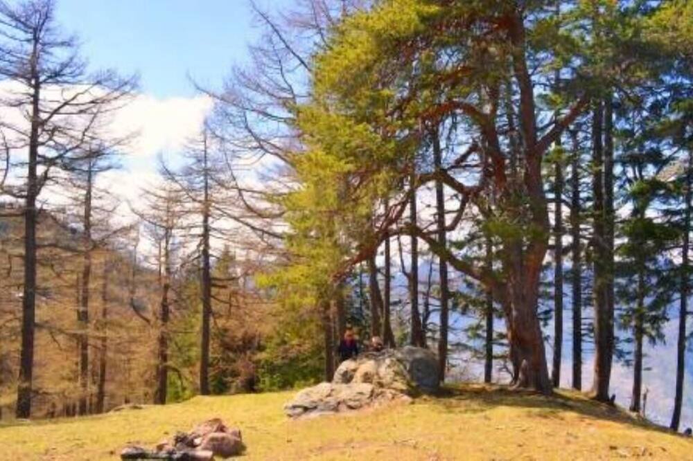 Photo of Outdoor in Chemin