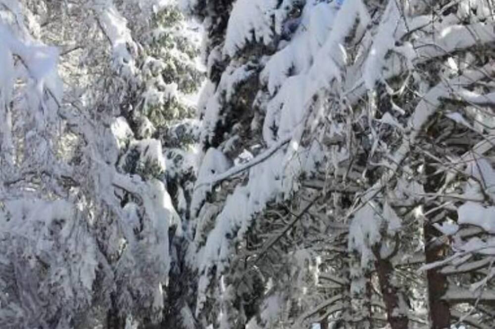 Photo of Others in Chemin