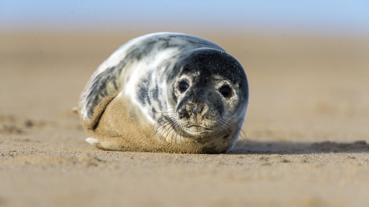 Photo of Others in Chatham