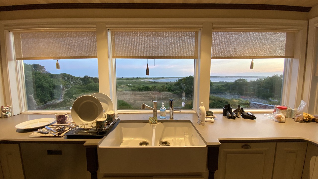 Photo of Others in Chatham