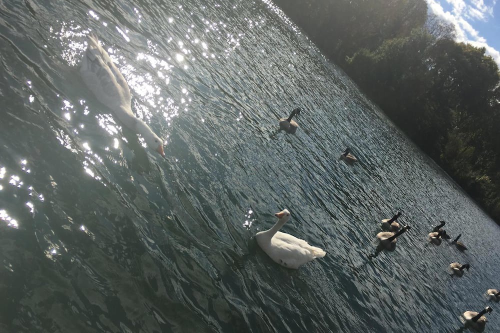 Photo of Others in Bougival