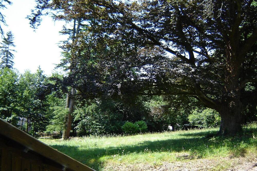 Photo of Outdoor in Rochefort-en-Terre