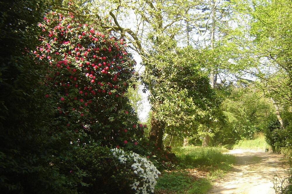 Photo of Outdoor in Rochefort-en-Terre