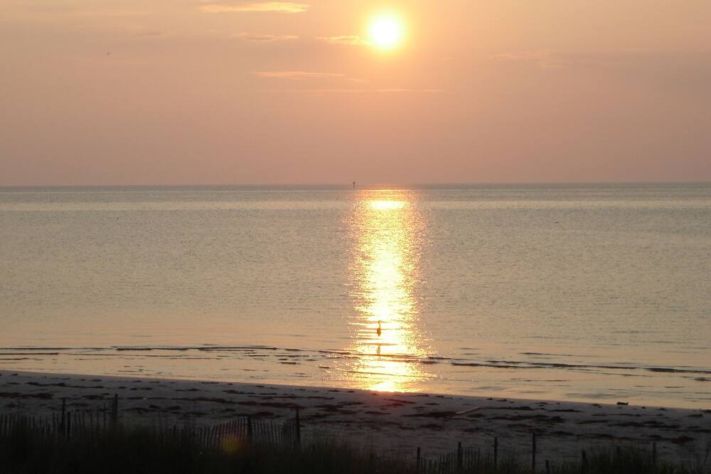 Photo of Others in Port Haywood