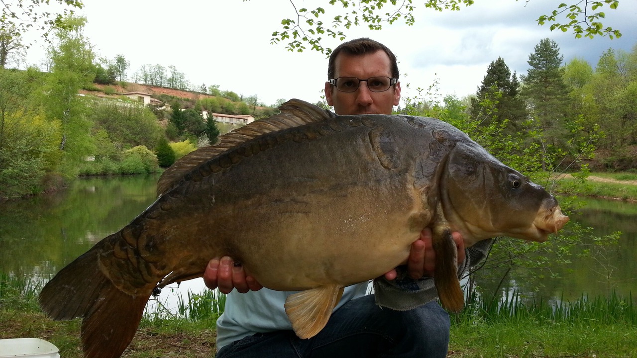 Photo of Outdoor in Les Albres