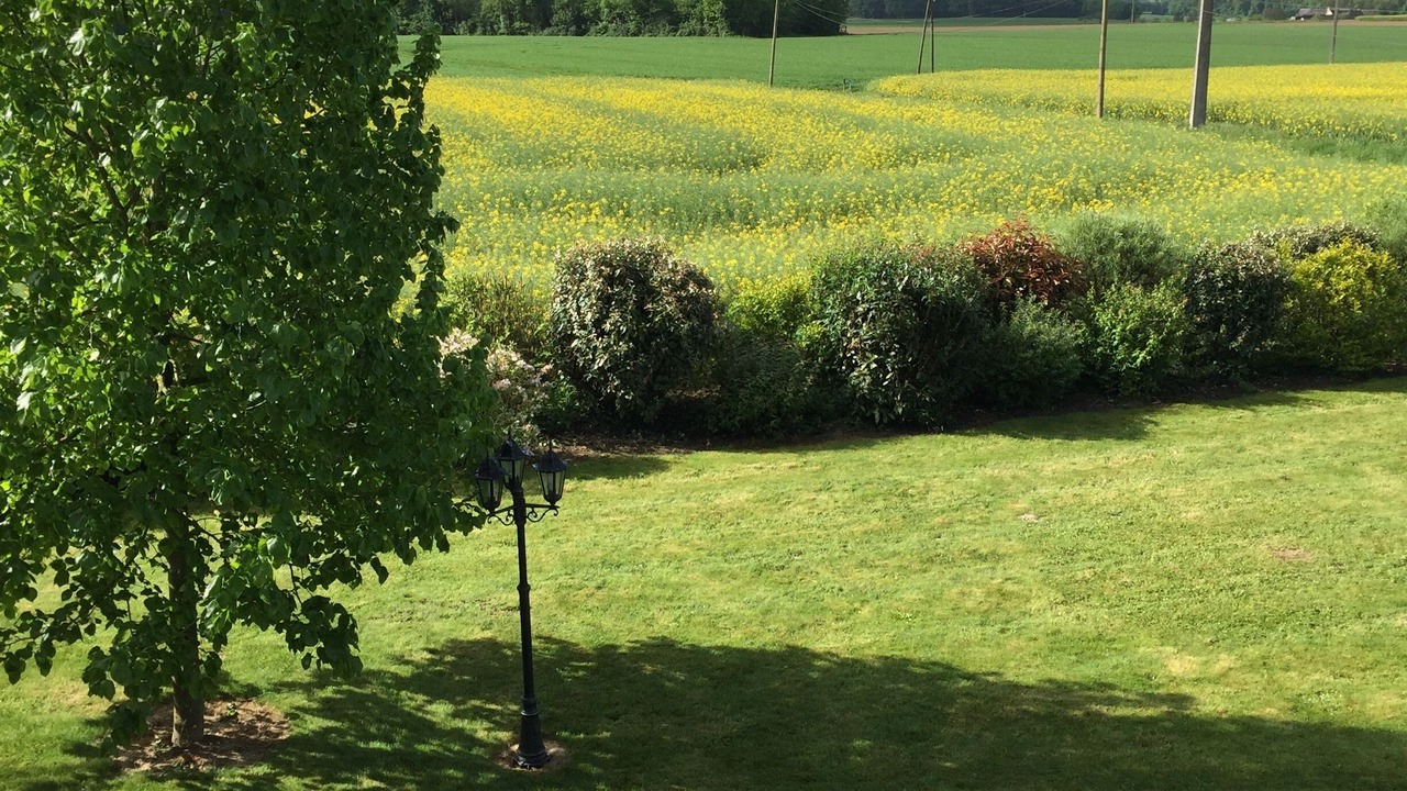 Photo of Others in Saint-Paterne-Racan