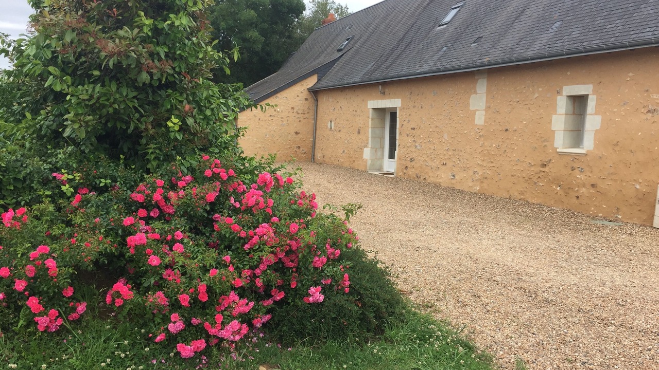 Photo of Outdoor in Saint-Paterne-Racan