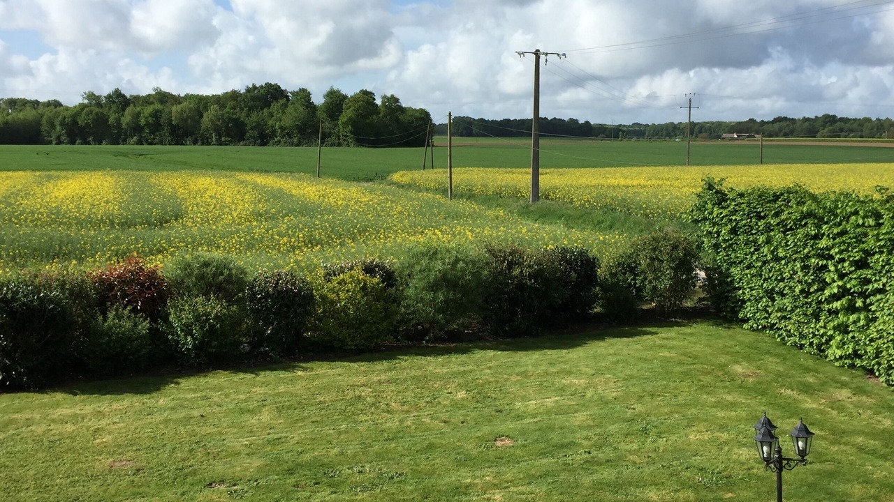 Photo of Others in Saint-Paterne-Racan