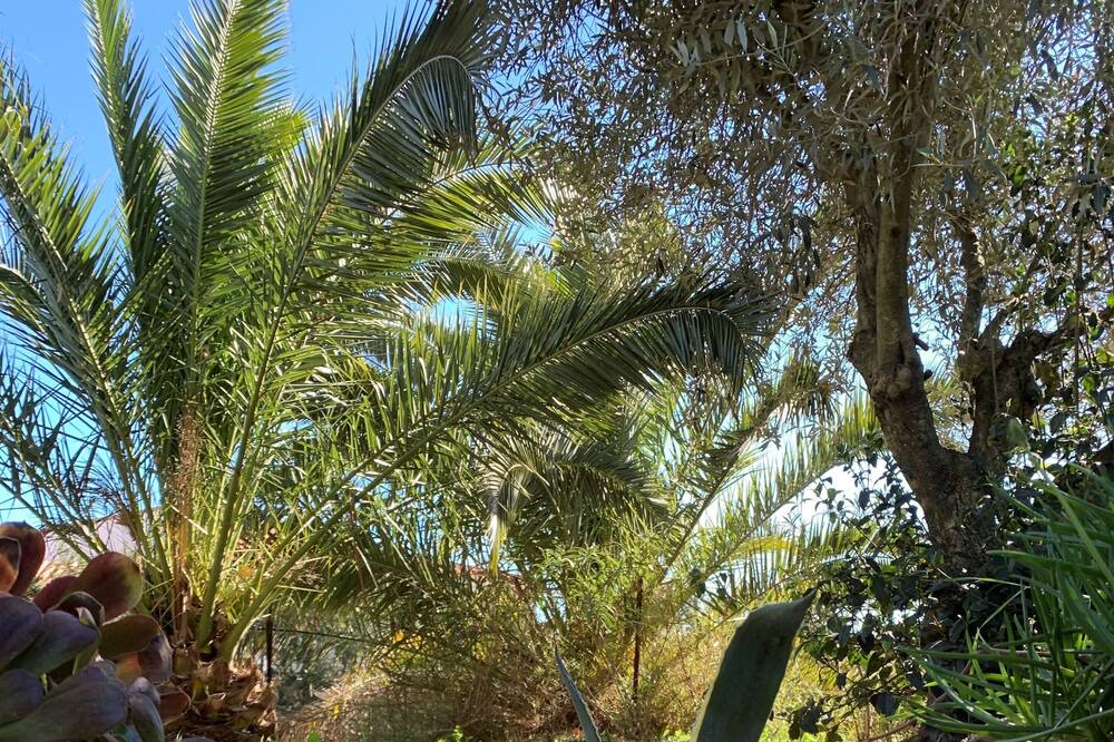 Photo of Outdoor in Pollestres
