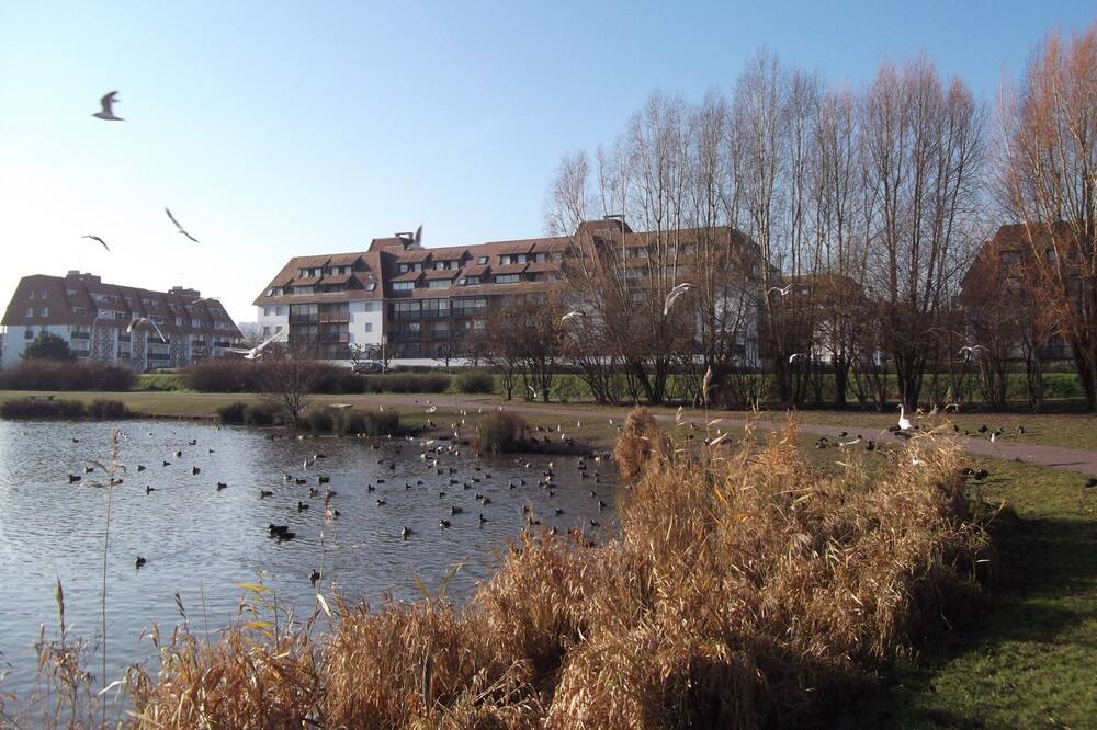 Photo of Others in Villers-sur-Mer