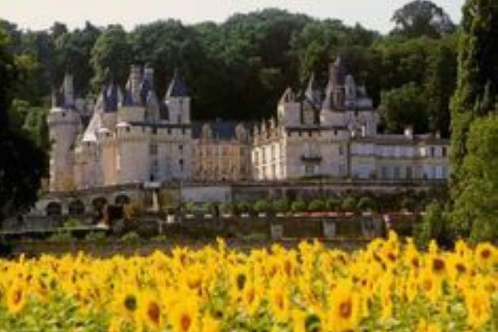 Photo of Outdoor in Lussault-sur-Loire