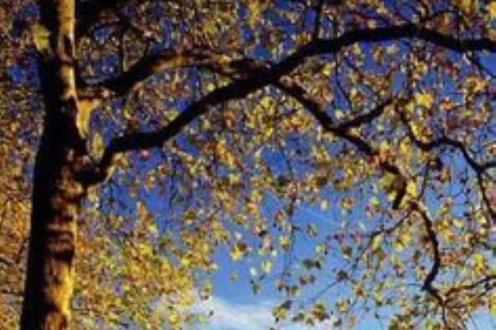 Photo of Outdoor in Lussault-sur-Loire